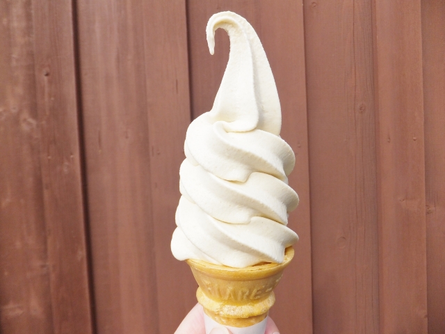 【熊本阿蘇】ソフトクリーム＠並んでも食べたい人気な場所１０選！
