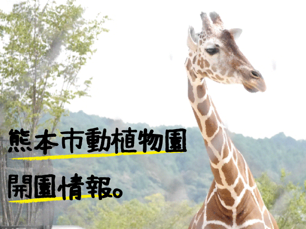【熊本市動植物園】開園情報！入場料などまとめてみた