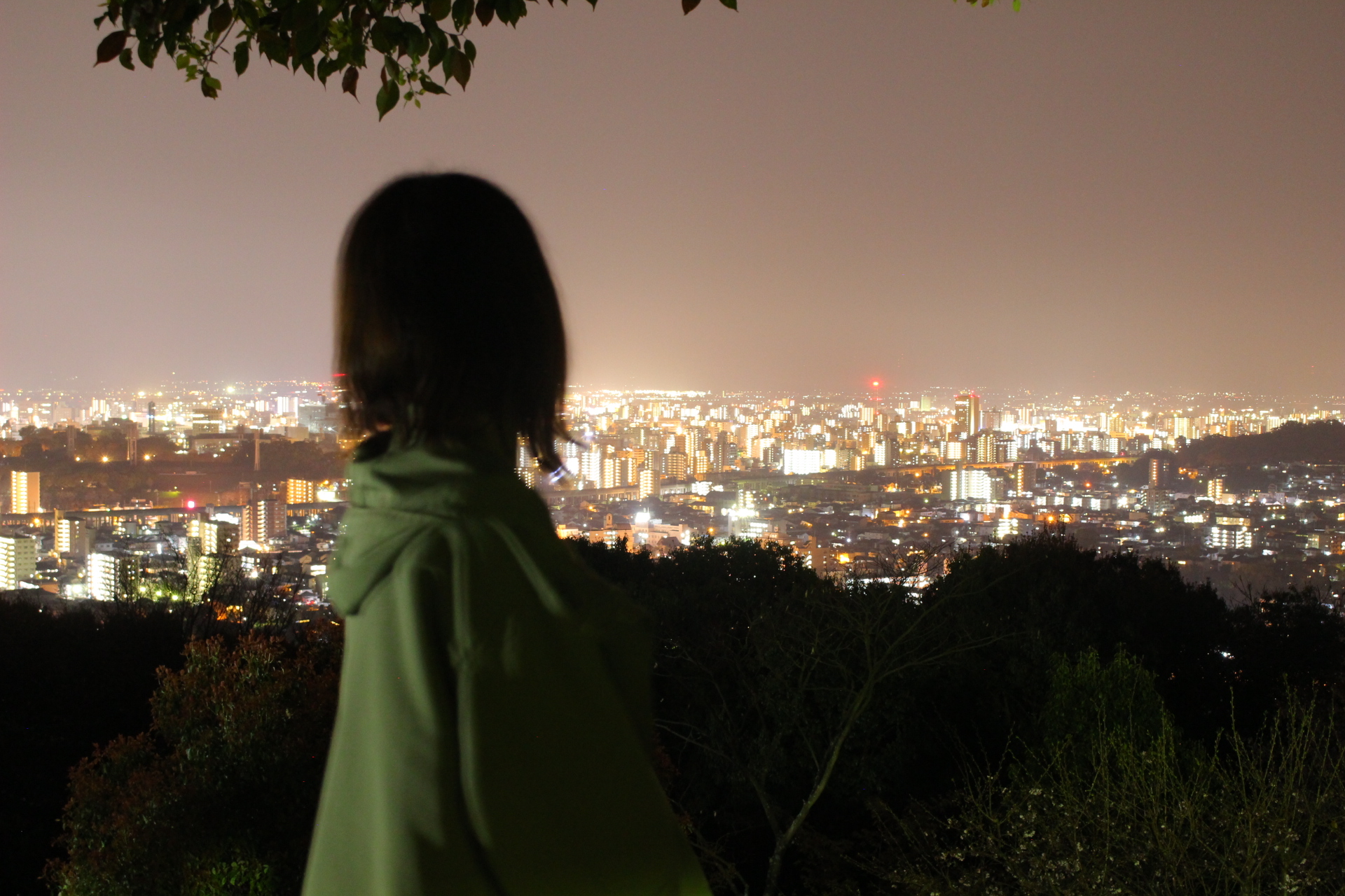 【本妙寺公園】熊本で夜景！さくらの季節もいい感じ