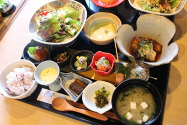 【鎹（かすがい）】熊本・江越で創作和食ランチ！見た目も美しい料理で幸せなひととき